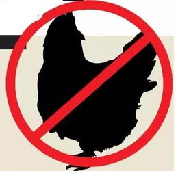 临安全面限制活禽交易，开启家禽销售新篇章