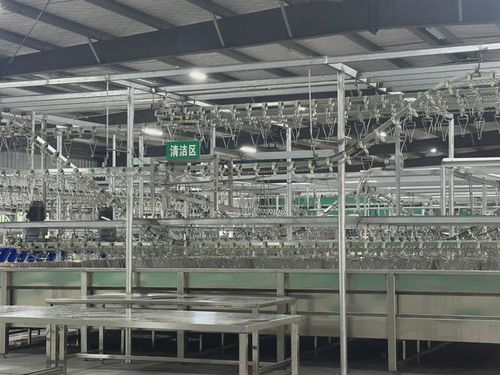 助力湛江鸡产业腾飞 粤西首家规模禽畜屠宰场在廉江开业