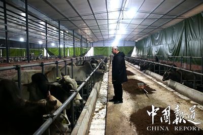 重庆顺林养殖 绿色牧歌奏响乡村振兴新篇章