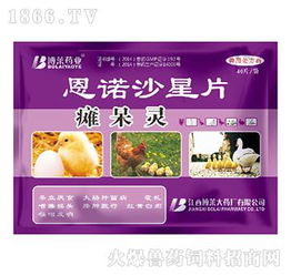 瘫呆灵 家禽“呆立症”的克星，助力养殖户快速回血