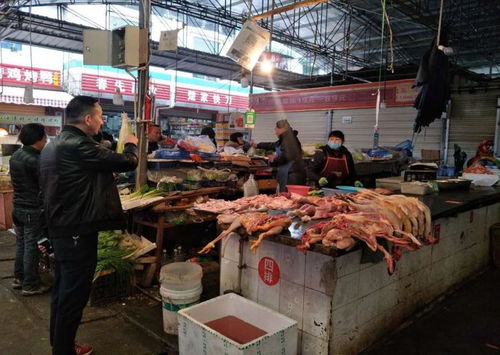 龙泉驿区市场监管局多措并举强化家禽销售环节疫情防控