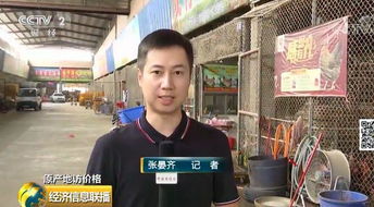 鸡肉价格走势调查 家禽销售波动下，我们还能愉快地吃鸡吗？