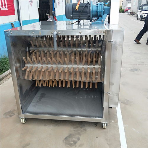 家禽定点鸡脱毛机 提升家禽销售效率与品质的利器
